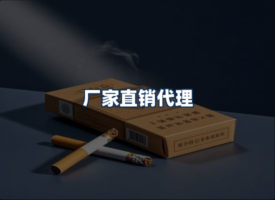 专业团队办公环境